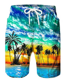 Men's Bathing Suit Board Shorts Swim Shorts Swim Trunks Summer Shorts Pocket Drawstring with Mesh lining Coconut Tree Print Quick Dry Short Daily Holiday Hawaiian Casual 1 2 Micro-elastic