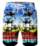 Men's Bathing Suit Board Shorts Swim Shorts Swim Trunks Summer Shorts Pocket Drawstring with Mesh lining Coconut Tree Print Quick Dry Short Daily Holiday Hawaiian Casual 1 2 Micro-elastic