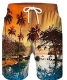 Men's Bathing Suit Board Shorts Swim Shorts Swim Trunks Summer Shorts Pocket Drawstring with Mesh lining Coconut Tree Print Quick Dry Short Daily Holiday Hawaiian Casual 1 2 Micro-elastic