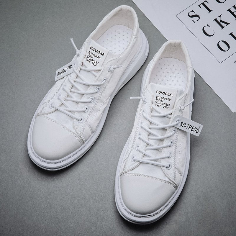 Men Daily Ice Silk Cloth Breathable Quick Drying Casual Sneakers