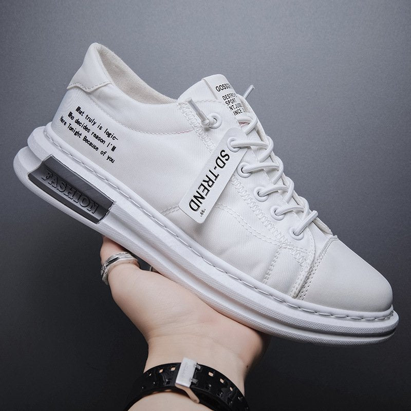 Men Daily Ice Silk Cloth Breathable Quick Drying Casual Sneakers