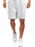 Men's Plus Size Casual Drawstring Beach Shorts