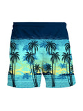 Men's Casual Print Hawaiian Shorts Beach Pants
