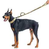 Retractable Tactical Bungee Dog Leash with 7075 Space Aluminum Hook Clips